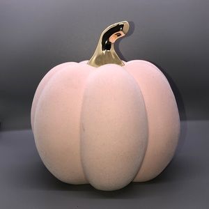 Pink velvet ceramic pumpkin decoration